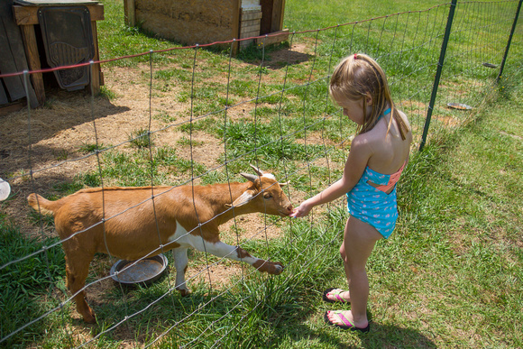 2016 05-28 Family trip to Milner-Betsys Wed 036 LR